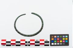 Foto von Bronzearmreif (NHMW-PRAE-024540)